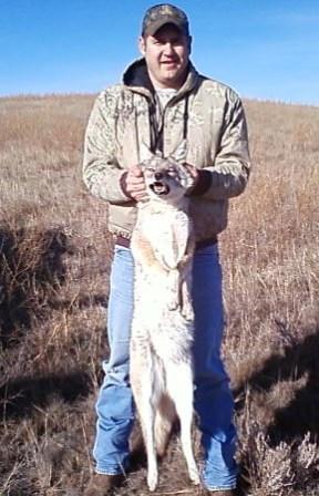 Veteran's Day 2009 004 Two Coyotes Down